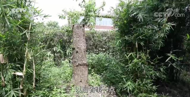 女子穿和服做核酸檢測遭勸阻，必須“換了衣服再來(lái)”？